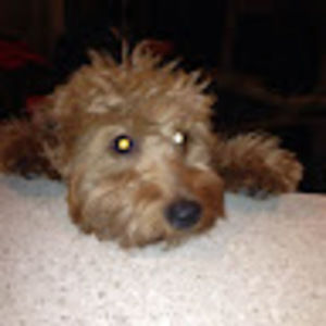 Meet your Posher, Robyn